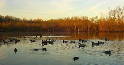 Property in Humphreys County, Mississippi