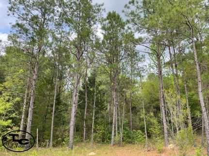 Property in Jackson County, Florida