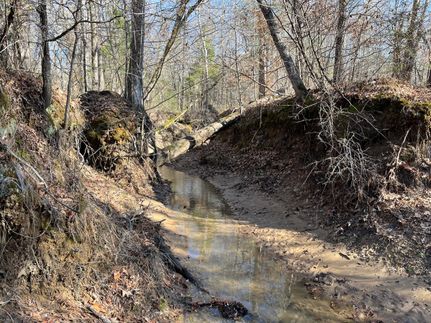 Property in Bienville Parish, Louisiana
