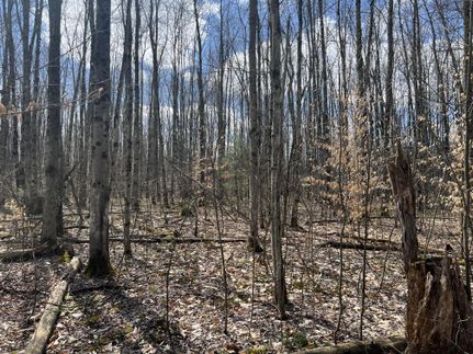 Property in Oswego County, New York