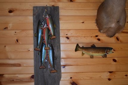 Property in Florence County, Wisconsin