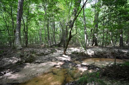 Property for sale in Tyler County, Texas