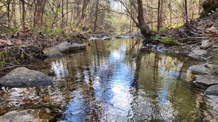 Property in Marion County, Arkansas