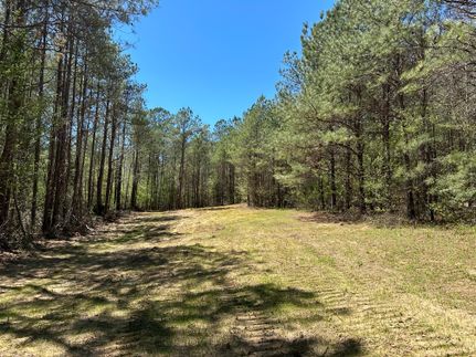 Property in Greene County, Alabama