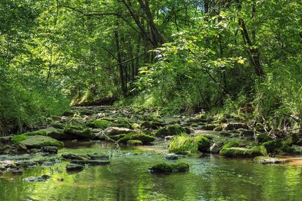 Property in Jackson County, Tennessee