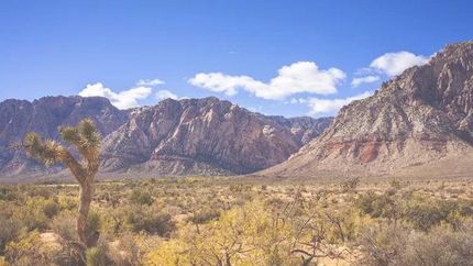 Property in Clark County, Nevada