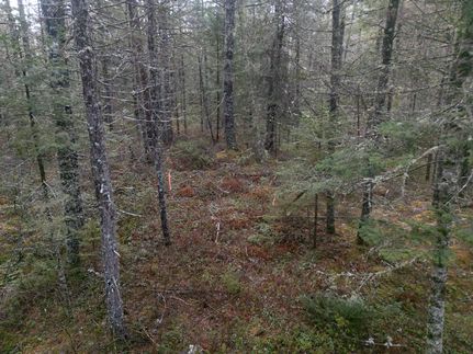 Property in Washington County, Maine