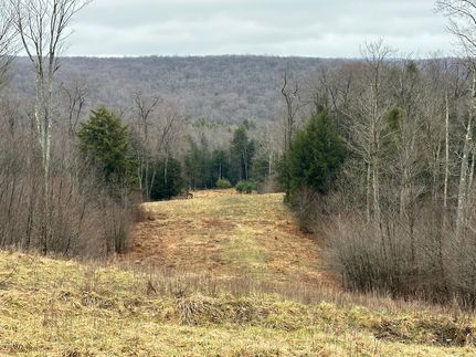 Property in Sullivan County, Pennsylvania