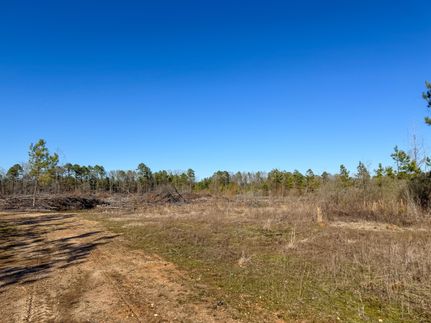 Property in Lafayette County, Arkansas