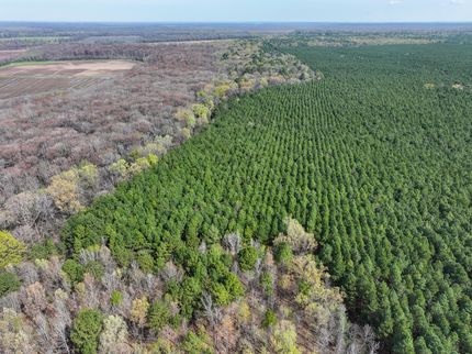 Property in Lafayette County, Arkansas