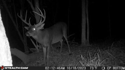 Property in Yazoo County, Mississippi