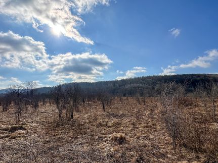 Property in Cattaraugus County, New York