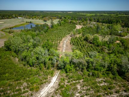 Property in Bacon County, Georgia