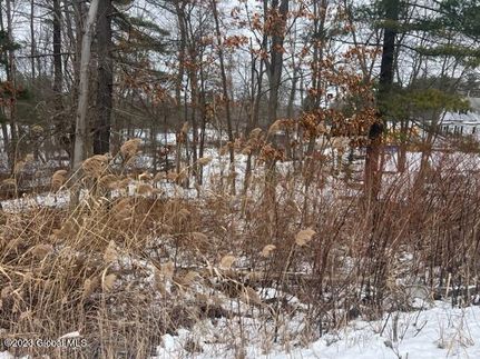 Property in Saratoga County, New York