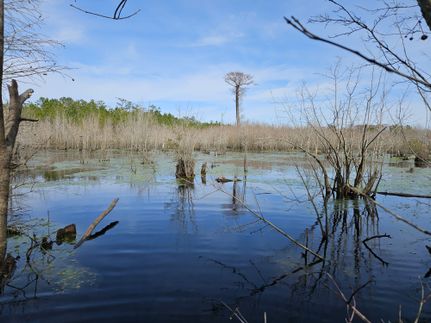 Property in Brunswick County, North Carolina