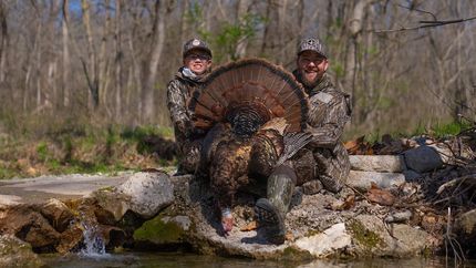 Property in Ralls County, Missouri