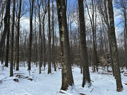 Property in Clearfield County, Pennsylvania