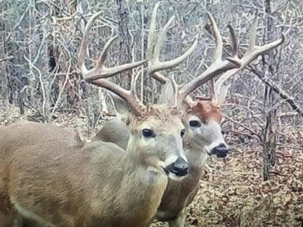 Property for sale in Le Flore County, Oklahoma