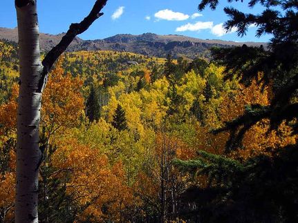 Property in Teller County, Colorado