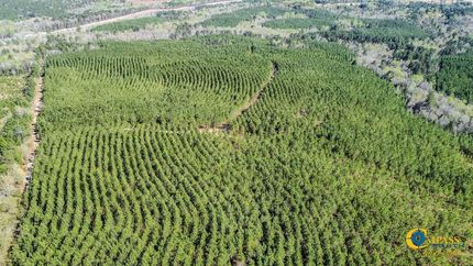 Property in Calhoun County, South Carolina