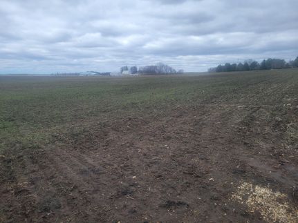 Property in Olmsted County, Minnesota