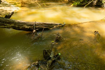 Property in Nacogdoches County, Texas