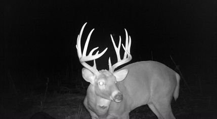 Property in Allen County, Kansas