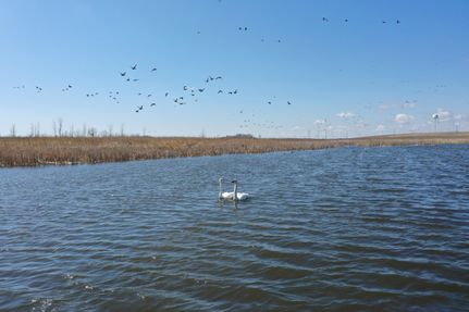 Property in Dickinson County, Iowa