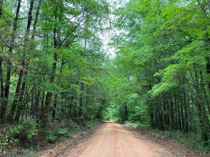 Property for sale in Monroe County, Alabama