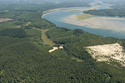 Property in Douglas County, Oregon