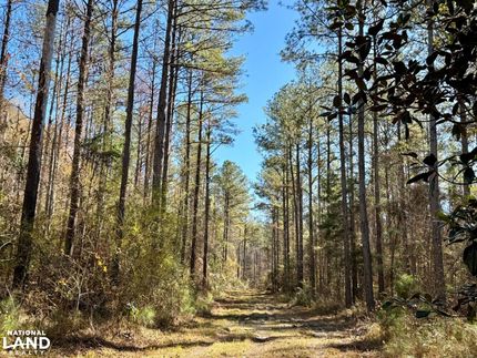 Property in Monroe County, Alabama