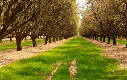 Ranch Property for sale in Fresno County, California