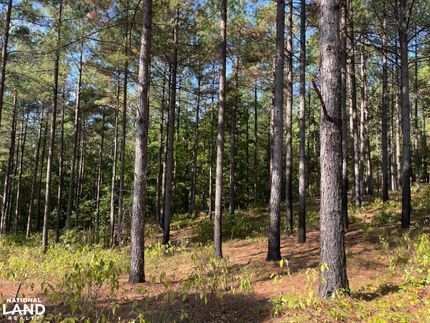 Property in Lamar County, Alabama