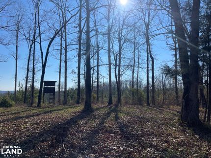Property in Pickens County, Alabama