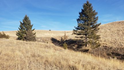Property for sale in Powell County, Montana