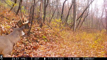 Property in Trempealeau County, Wisconsin