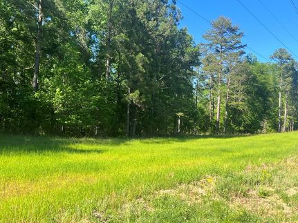 Property in Pike County, Alabama