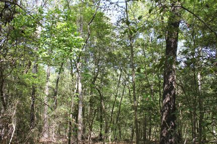 Residential Property for sale in Angelina County, Texas
