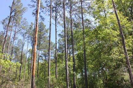 Property for sale in Angelina County, Texas