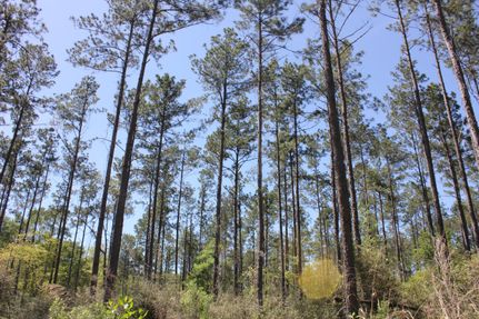 Residential Property for sale in Angelina County, Texas