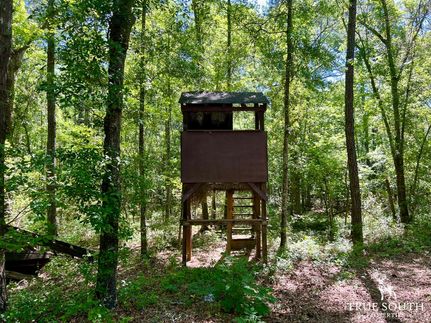 Property in Bamberg County, South Carolina
