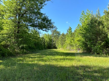 Property in Williamsburg County, South Carolina