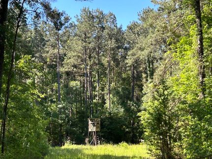 Property in Avoyelles Parish, Louisiana