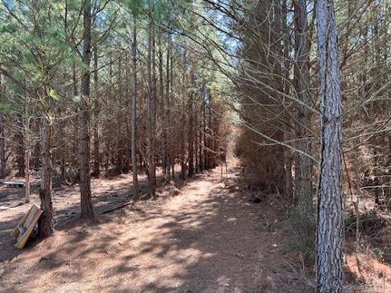 Timberland Property for sale in McCurtain County, Oklahoma