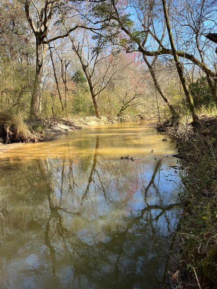 Property in Elmore County, Alabama