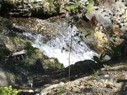 Property in Chaffee County, Colorado