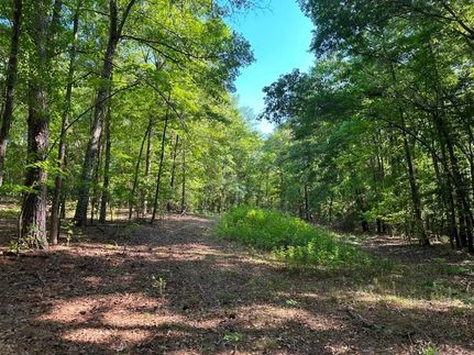 Property in Calhoun County, South Carolina