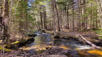 Property in Fulton County, New York