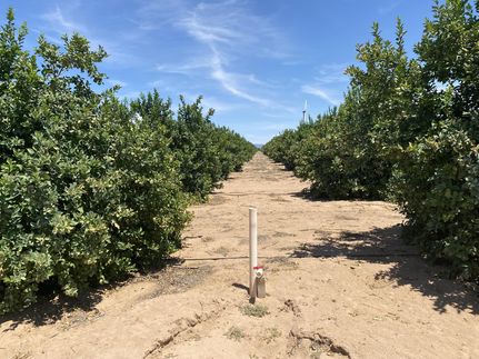 Property for sale in Yuma County, Arizona