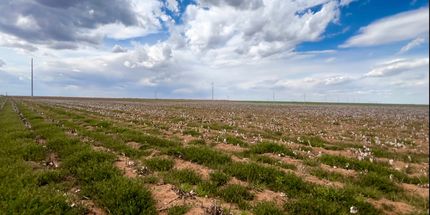 Property in Lynn County, Texas